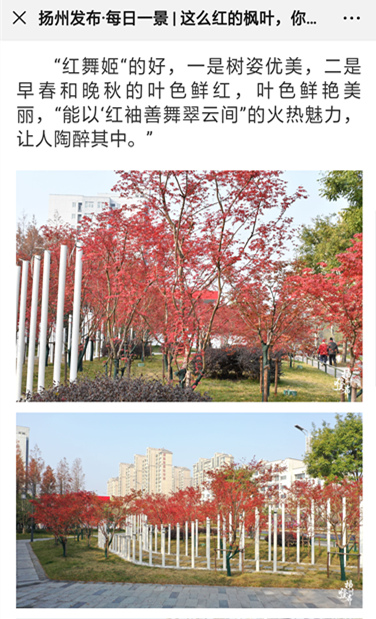QQ圖片20191221140333_副本.jpg