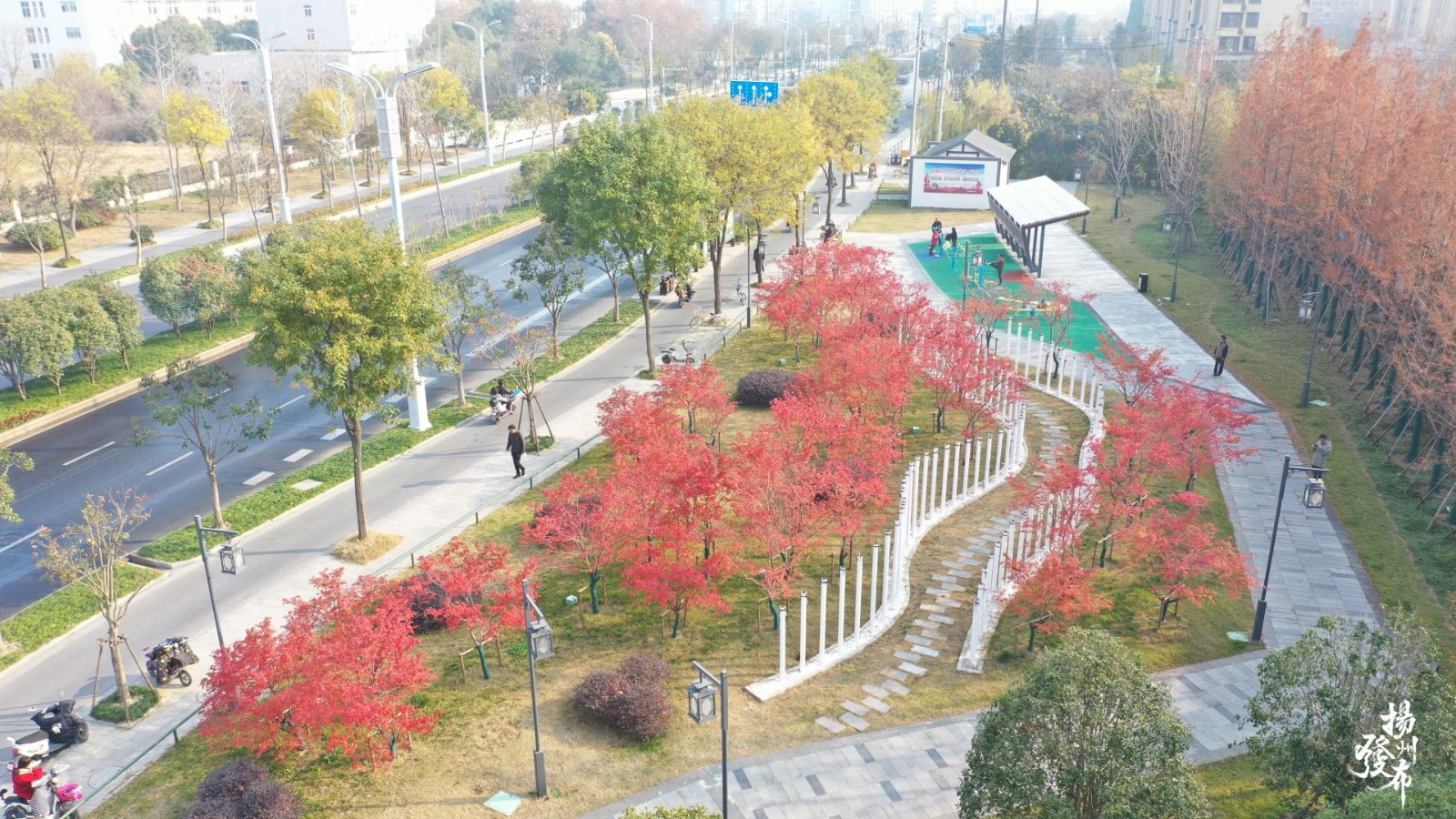 圖片5.jpg